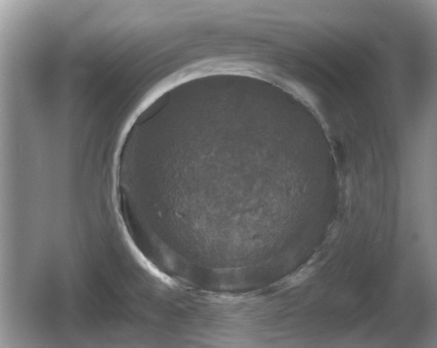 X0000066541528200603241358