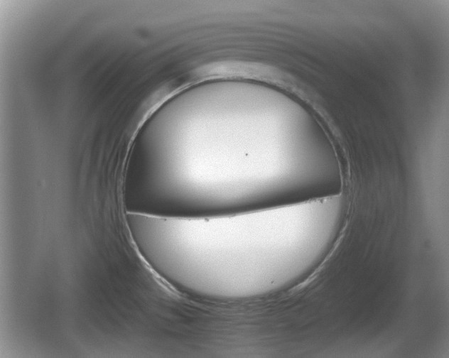 X0000066541529200603241358