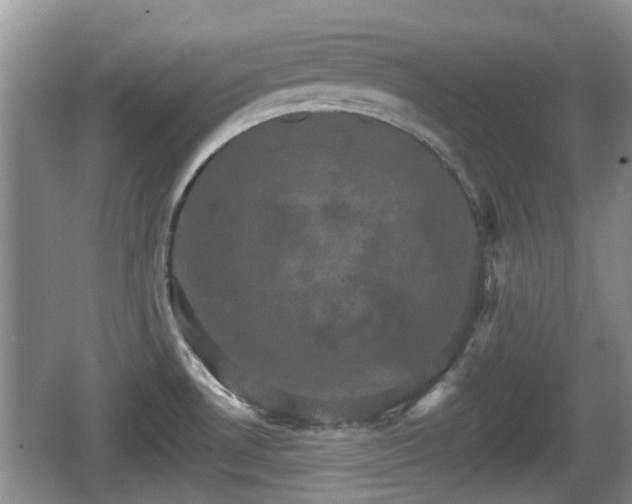 X0000066541530200603241358