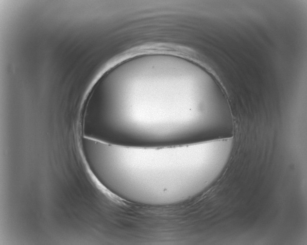 X0000066541531200603241358