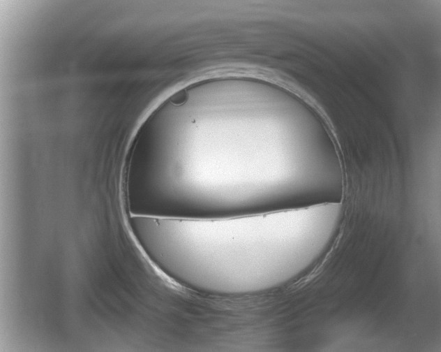 X0000066541533200603241358