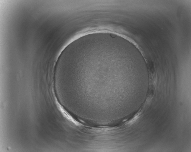 X0000066541534200603241358