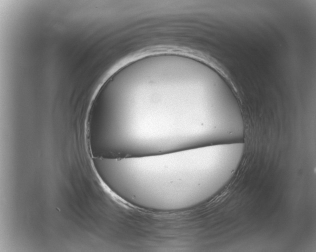 X0000066541535200603241358