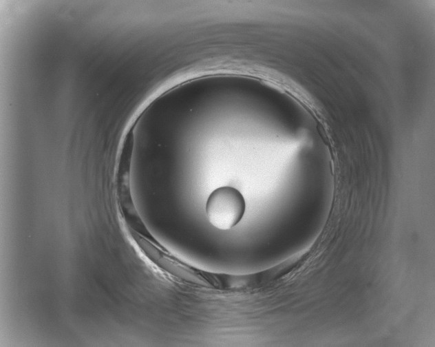 X0000066541536200603241358