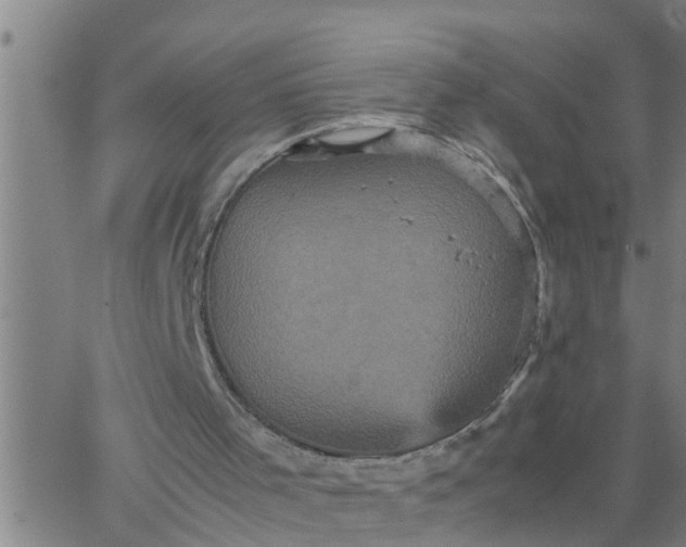 X0000066540001200603311856