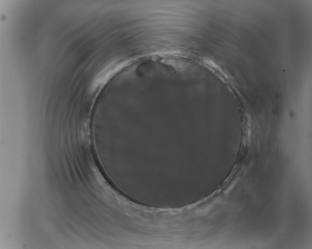 X0000066540002200603311856