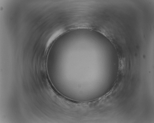 X0000066540004200603311856