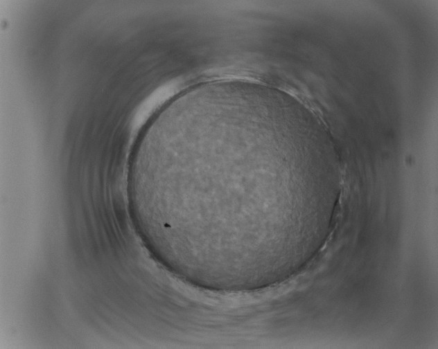 X0000066540006200603311856