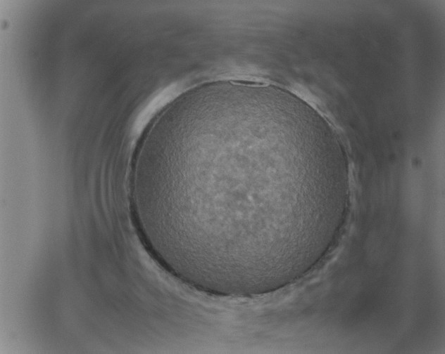 X0000066540007200603311856