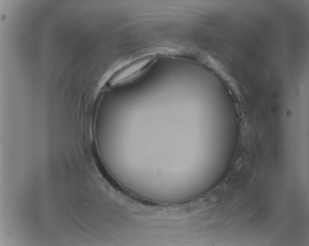 X0000066540011200603311856