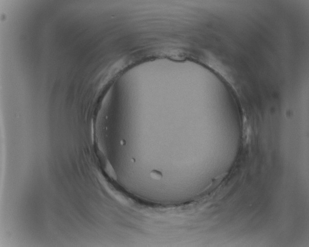 X0000066540013200603311856