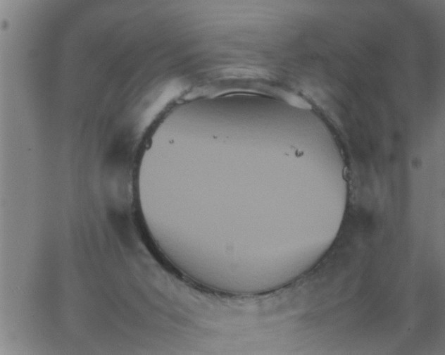 X0000066540015200603311856