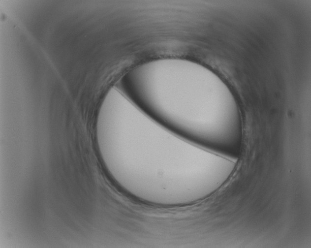 X0000066540017200603311856