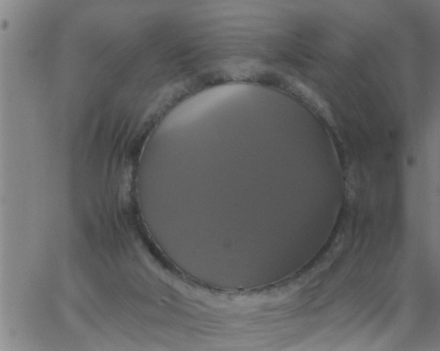 X0000066540018200603311856