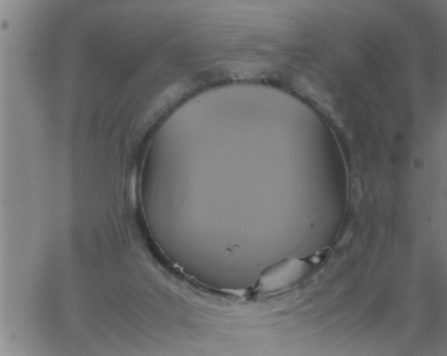 X0000066540019200603311856