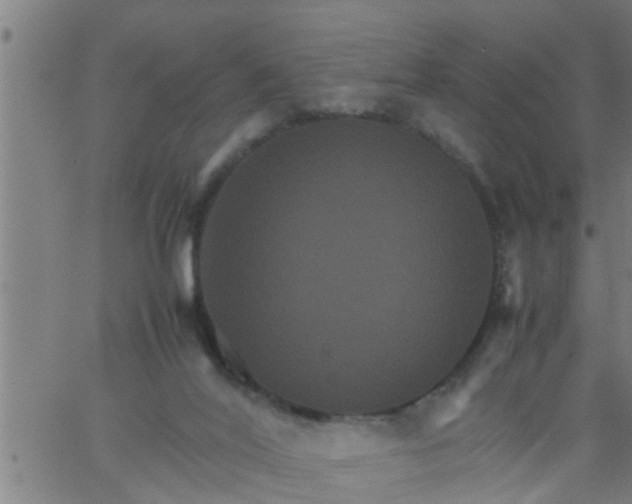 X0000066540020200603311856