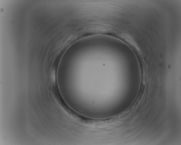 X0000066540021200603311856