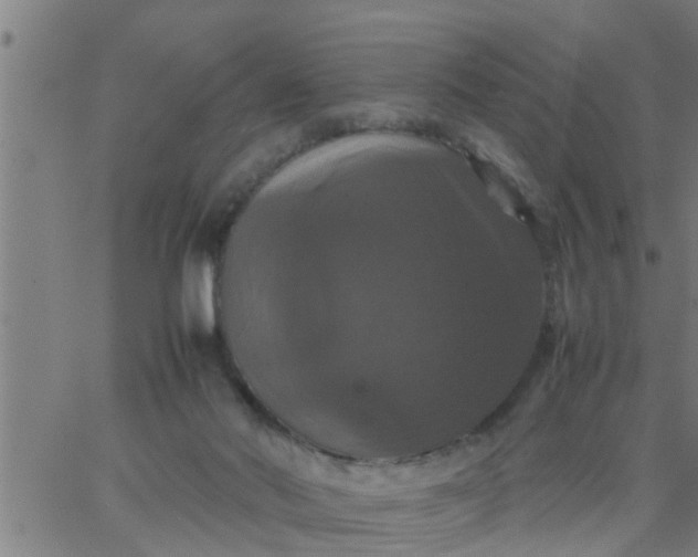 X0000066540022200603311856