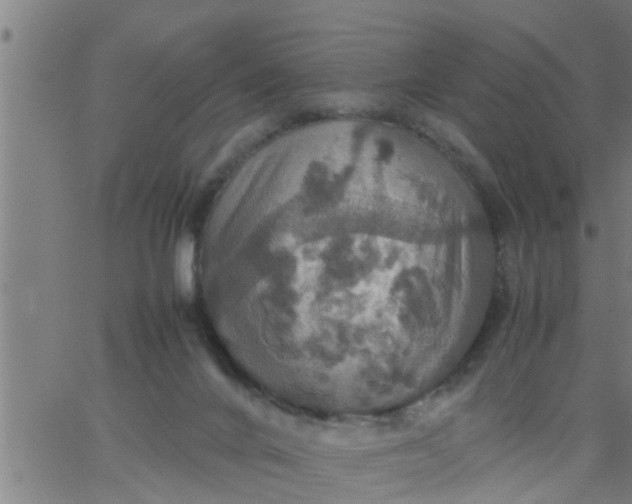 X0000066540024200603311856