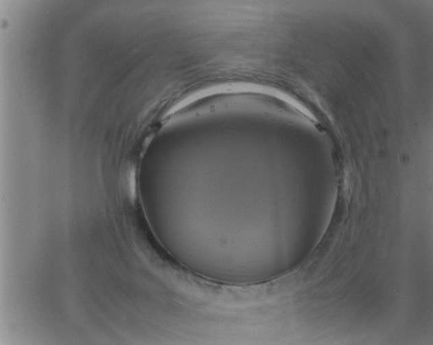 X0000066540027200603311856