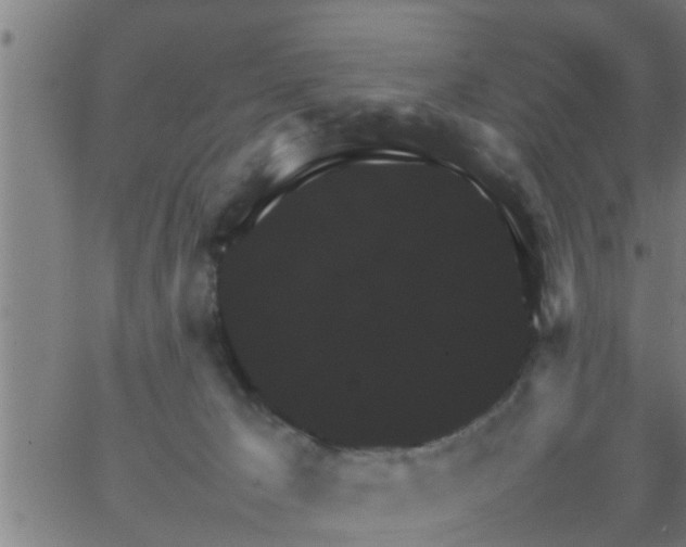 X0000066540029200603311856