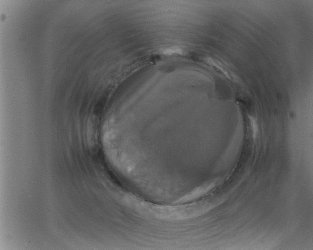 X0000066540030200603311856