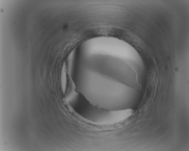 X0000066540031200603311856