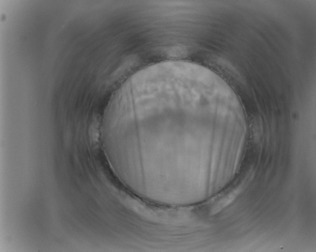 X0000066540032200603311856