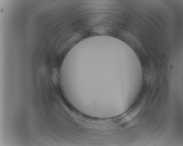 X0000066540036200603311856