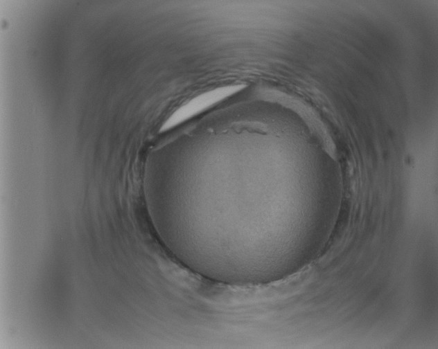 X0000066540037200603311856