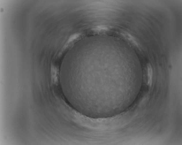 X0000066540038200603311856