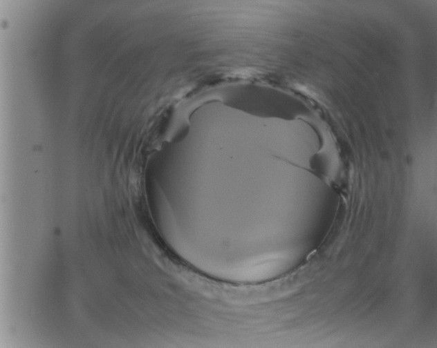 X0000066540039200603311856