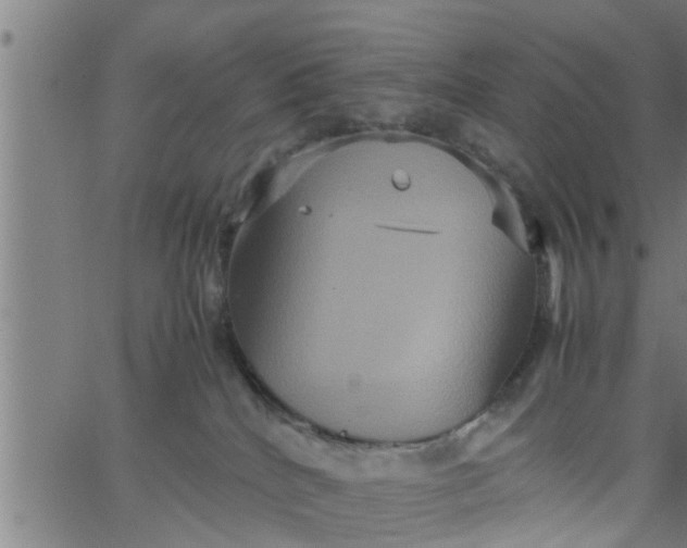 X0000066540040200603311856