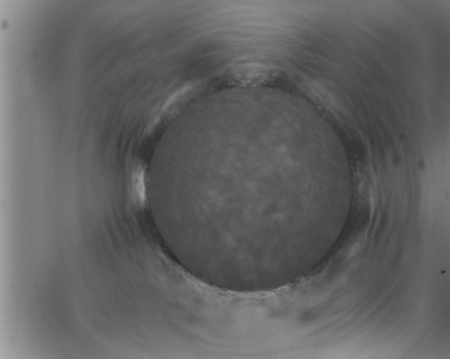 X0000066540042200603311856