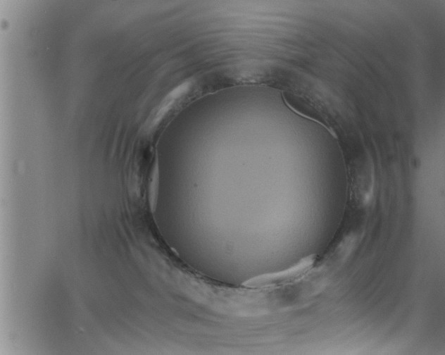 X0000066540044200603311856