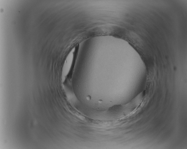 X0000066540045200603311856