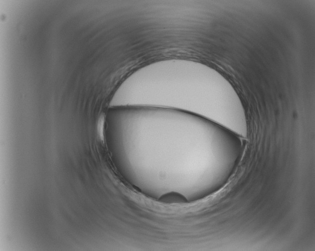 X0000066540047200603311856