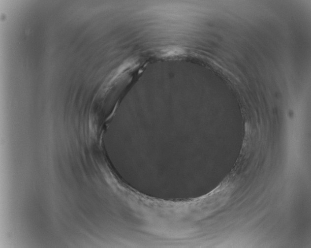 X0000066540048200603311856