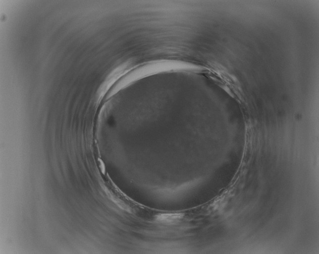 X0000066540051200603311855