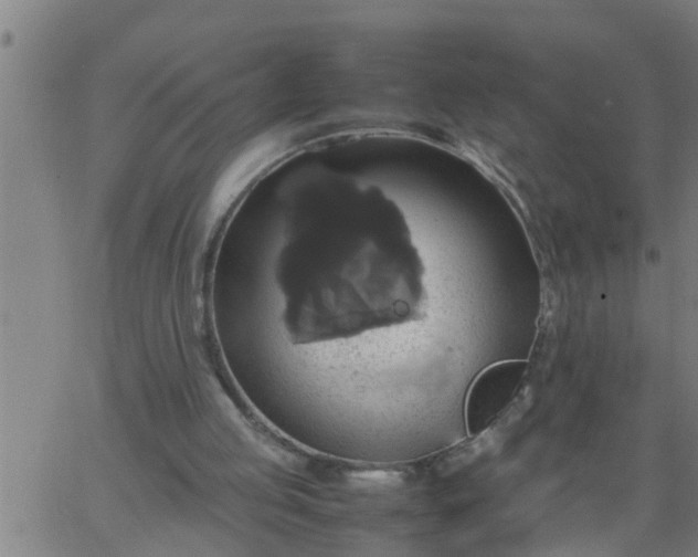 X0000066540053200603311855