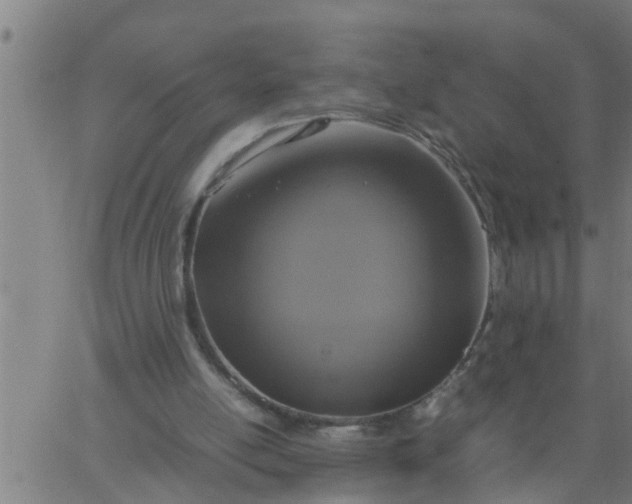 X0000066540054200603311855