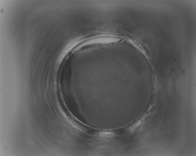 X0000066540055200603311855