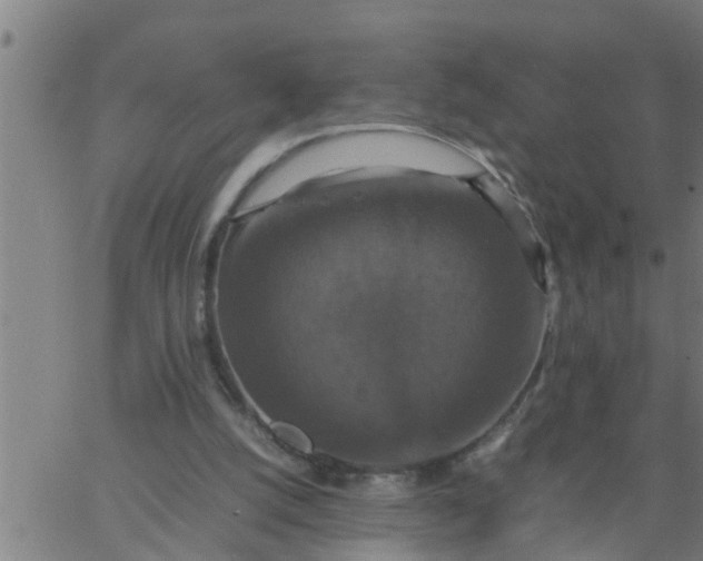 X0000066540056200603311855