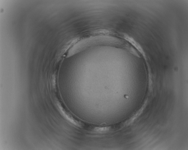 X0000066540057200603311855