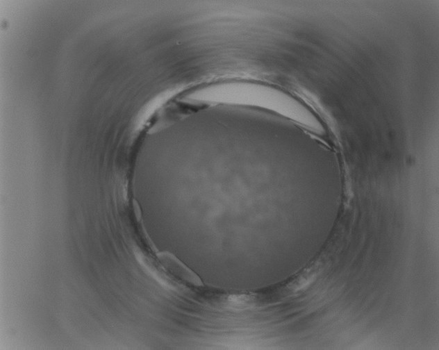 X0000066540060200603311855