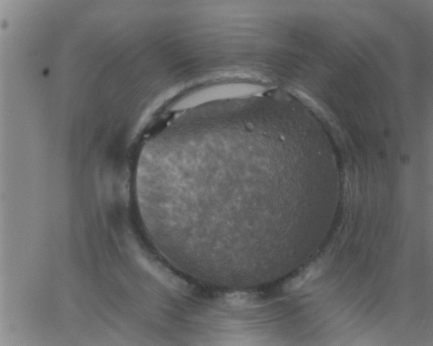 X0000066540064200603311855