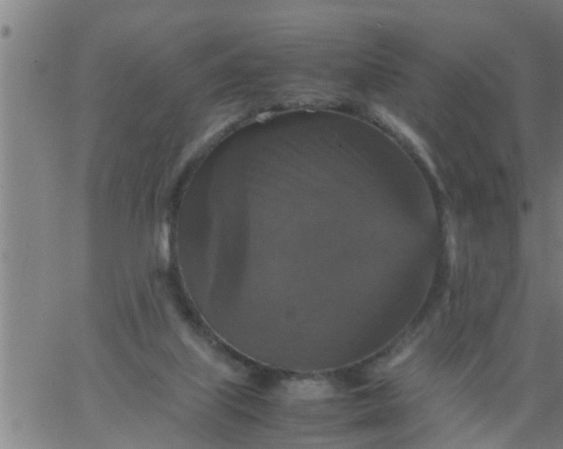 X0000066540067200603311855