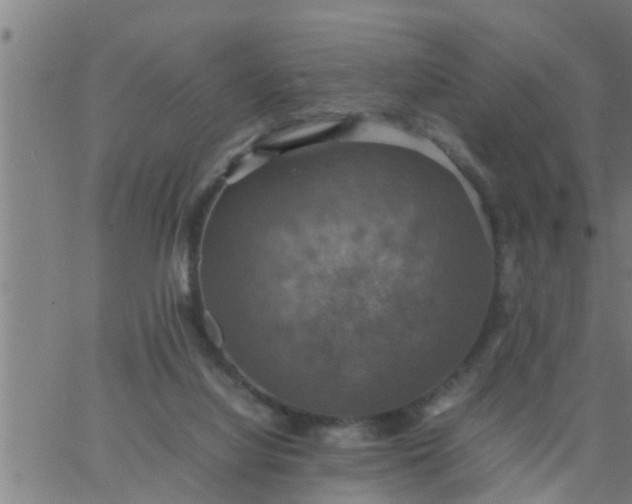 X0000066540068200603311855