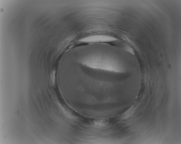 X0000066540070200603311855