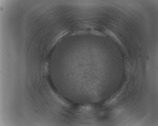 X0000066540071200603311855